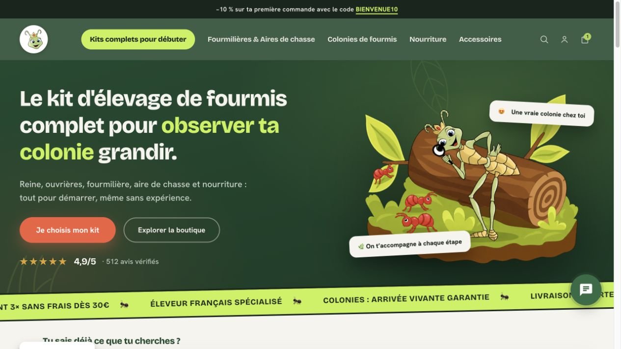 Homepage preview of Achat-Fourmis