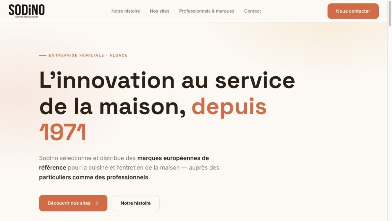 Sodino business website built by Eylan